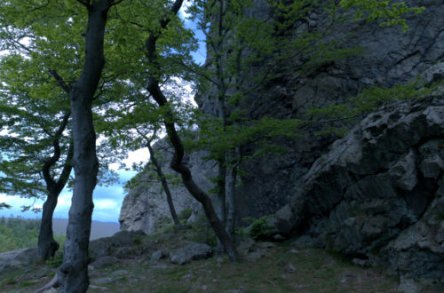 Bruchhausener Steine