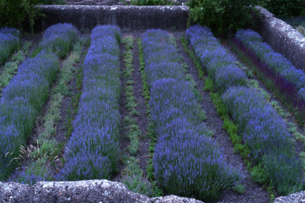 Landschaftspark Duisburg
