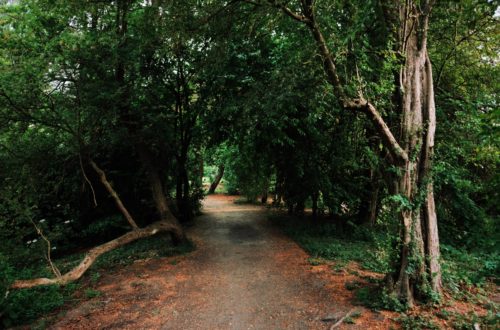 Hertener Schloßpark