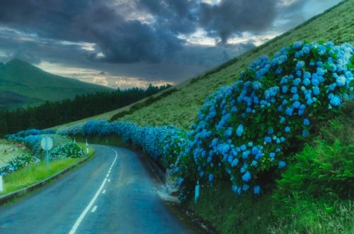 São Miguel - Azoren